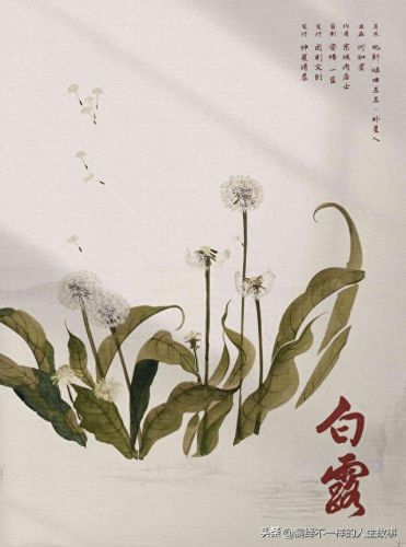 五人十大催泪剧本杀排行榜(七人剧本杀推荐排行榜)插图5 五人十大催泪剧本杀排行榜(七人剧本杀推荐排行榜)插图5