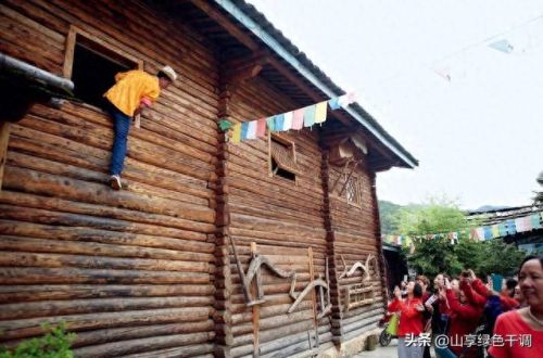 四川十大奇葩蔬菜排行榜(四川有名的蔬菜)插图6 四川十大奇葩蔬菜排行榜(四川有名的蔬菜)插图6