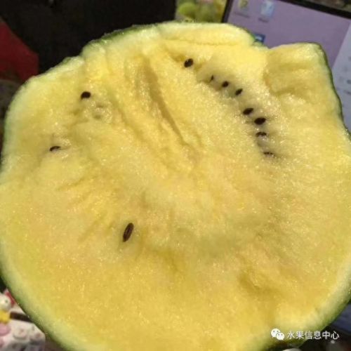 西瓜品种大小十大排行榜(露天西瓜哪个品种好)