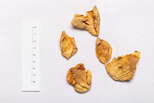 排石中药十大排行榜(化结石最快的茶)插图3