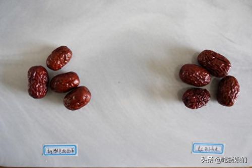 和田大枣品种排名前十(和田特级大枣)插图12 和田大枣品种排名前十(和田特级大枣)插图12