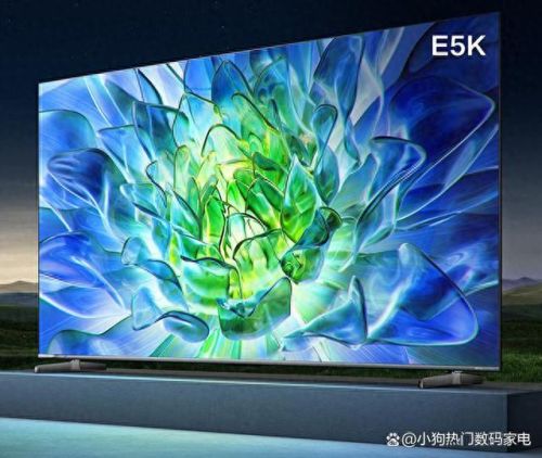 海信电视机十大品牌排行榜(老牌电视机十大品牌)插图4