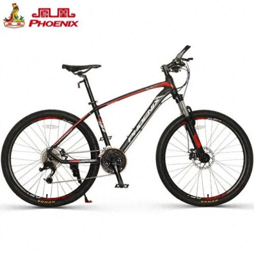 十大名牌自行车排行榜(哪个山地车品牌最好)插图13