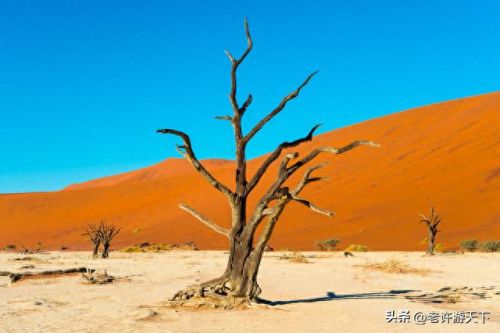 国内沙漠古城排名前十(青海所有沙漠排名)插图102 国内沙漠古城排名前十(青海所有沙漠排名)插图102