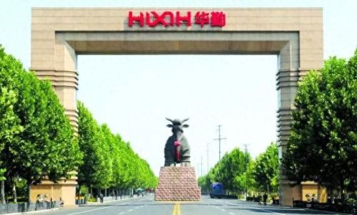 邹城平台公司排名前十(邹城家政公司排名)插图16 邹城平台公司排名前十(邹城家政公司排名)插图16