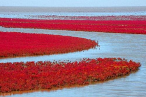 铁岭钢厂产量排名前十(2007铁岭钢厂事件处理)