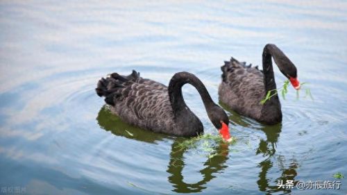 湖北十大旅游景点排行榜最新(湖北旅游景点有哪些)