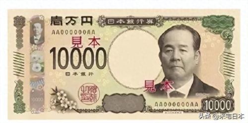 日本最美豪宅排名前十(日本十大高端豪宅)插图30