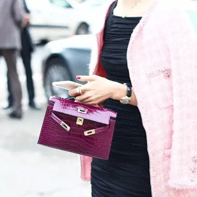 十大名牌女包排行榜图片(十大女包品牌排名)插图20