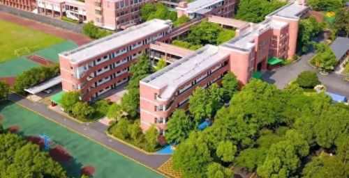 义桥小学排名前十(秦淮区小学排名)插图3