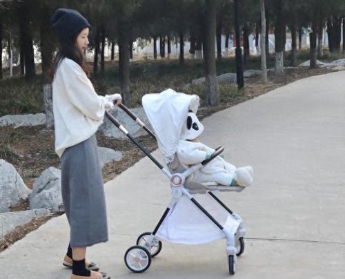 婴儿车子十大排行榜(国内婴儿车十大排名)插图1 婴儿车子十大排行榜(国内婴儿车十大排名)插图1