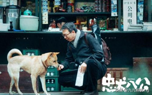 十大好看的大片电影排行榜(十部中国顶级大片电影)插图8