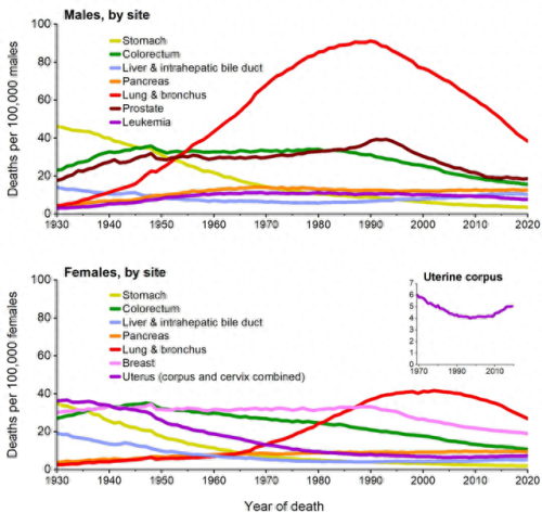 十大疾病死亡率排行榜(肿瘤疾病死亡率排名)