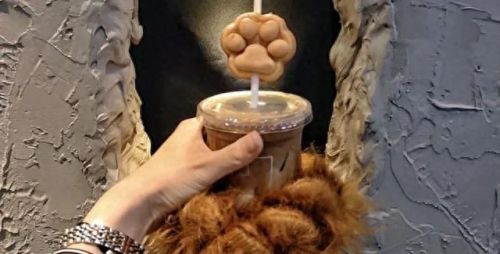 沈阳氛围小店排名前十(沈阳好吃的小店推荐)插图2