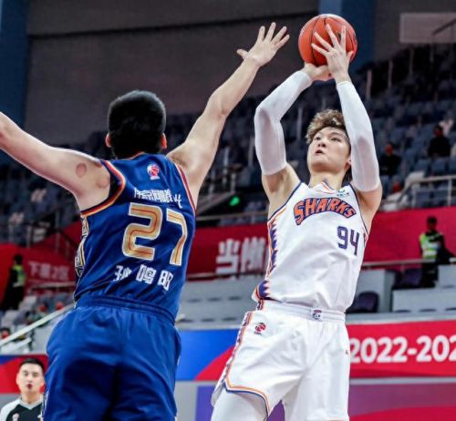 cba现役十大中锋排行榜图片(cba历史远古四大中锋)插图1