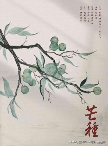 五人十大催泪剧本杀排行榜(七人剧本杀推荐排行榜)插图2 五人十大催泪剧本杀排行榜(七人剧本杀推荐排行榜)插图2