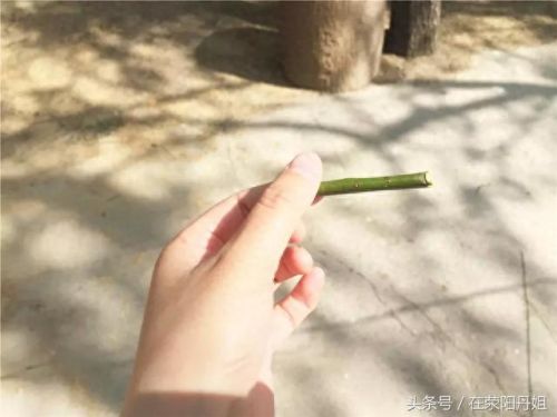 荥阳最美水库排名前十(荥阳水库图片)插图20 荥阳最美水库排名前十(荥阳水库图片)插图20