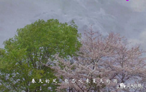 校园最火十大歌曲排行榜(小学校园十大流行歌曲)