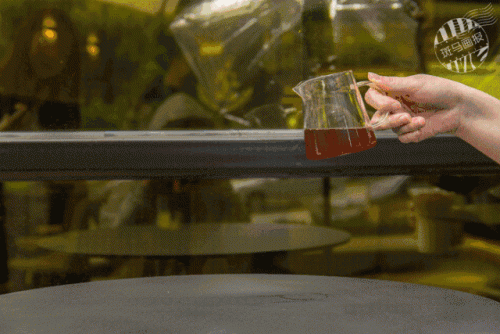 十大品茗杯广告牌排行榜(品茗杯排行榜前十名)插图2