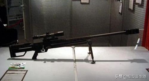 十大狙击枪射程排行榜图片(现代各种狙击枪介绍及图片)插图5