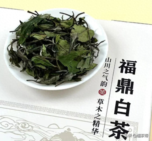 红茶十大知名品牌排行榜(十大高端红茶品牌排行榜前十名)插图5