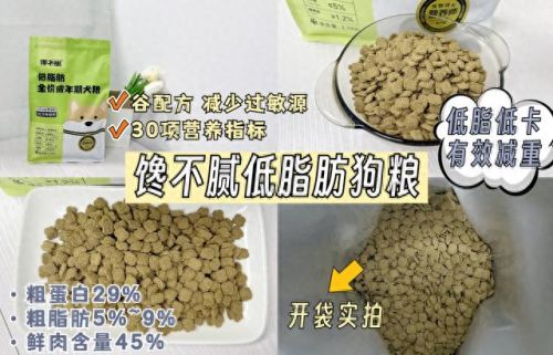 娱乐圈十大宠物排行榜最新(北京圈内人养宠物的明星)插图10