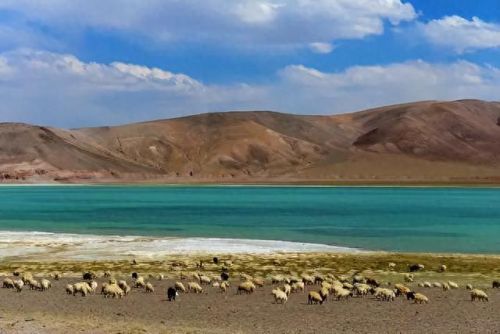 全国旅行摩托排名前十(国内前十旅游摩托车)插图13 全国旅行摩托排名前十(国内前十旅游摩托车)插图13