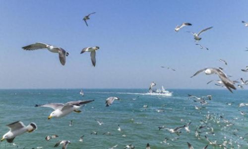 环翠区旅游景区排名前十(环翠自然风景区)插图14 环翠区旅游景区排名前十(环翠自然风景区)插图14