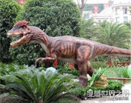 恐龙十大排行榜谁最大(恐龙排名到底谁最强)插图2
