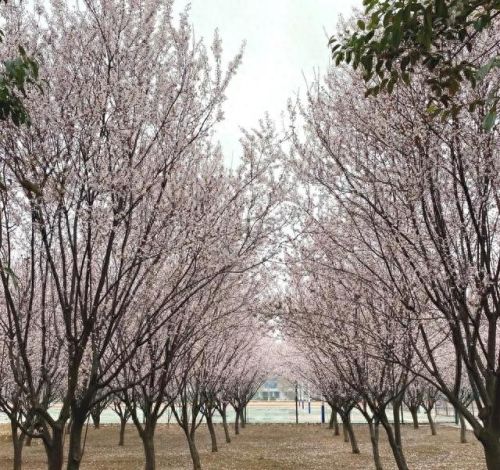 亳州地理老师排名前十(亳州一中安徽排名)插图11 亳州地理老师排名前十(亳州一中安徽排名)插图11