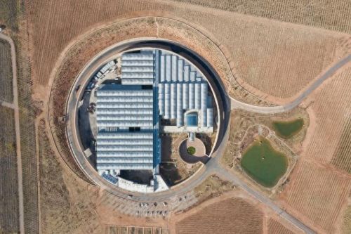 山西肉鸽销量排名前十(大熊养殖肉鸽)插图2 山西肉鸽销量排名前十(大熊养殖肉鸽)插图2