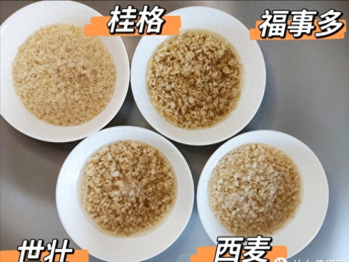 国产即食麦片十大排行榜(十大口碑最好的麦片)