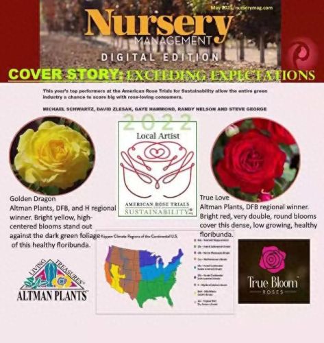 国外花盆公司排名前十(花盆品牌十大排名)