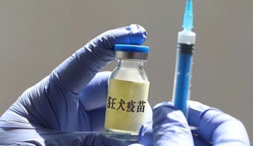 世界上的十大疾病排行榜(中年人常见的十大疾病)插图22 世界上的十大疾病排行榜(中年人常见的十大疾病)插图22