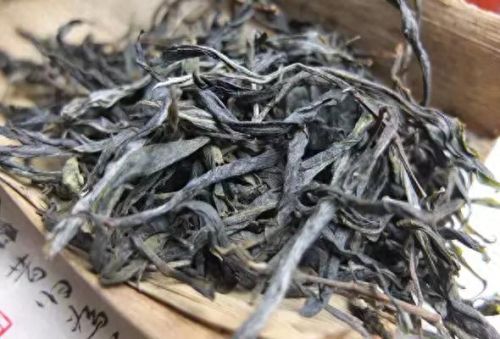 国内古老茶树排名前十(云南最古老的茶树在什么茶区)插图4 国内古老茶树排名前十(云南最古老的茶树在什么茶区)插图4