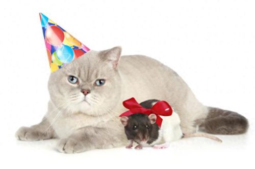 世界十大著名动画片排行榜(世界十大的动画片排名)插图5