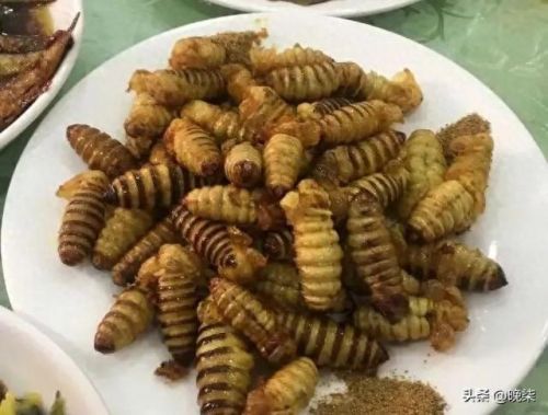 沈阳庄河饭店排名前十(庄河好的饭店有什么)