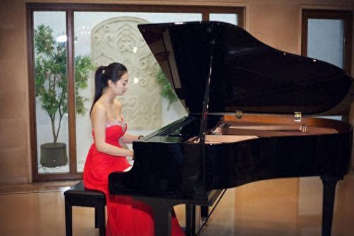 酒吧热门乐器排名前十(弦类乐器难度排名)插图1