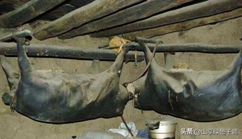 四川十大奇葩蔬菜排行榜(四川有名的蔬菜)插图5 四川十大奇葩蔬菜排行榜(四川有名的蔬菜)插图5