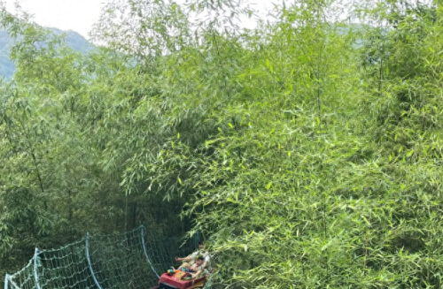 郑州水边餐厅排名前十(费县水边餐厅)插图12 郑州水边餐厅排名前十(费县水边餐厅)插图12