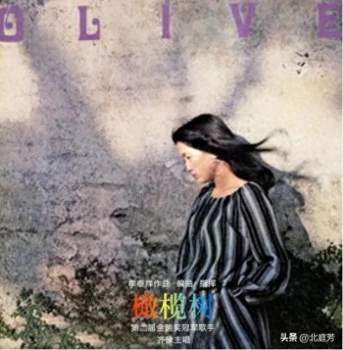 台湾排名前十的歌(台湾乐队排名前十)