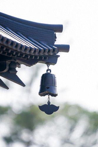 宝山最美寺院排名前十(上海最有良心的寺院)插图2 宝山最美寺院排名前十(上海最有良心的寺院)插图2