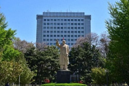 收入最高的十大专业排行榜(工资排名前十的职业)插图7