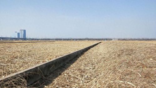 西安遛狗公司排名前十(西安遛狗事件最新消息)插图9 西安遛狗公司排名前十(西安遛狗事件最新消息)插图9