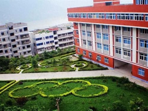 合川排名前十的小学(合川前十名小学)插图25 合川排名前十的小学(合川前十名小学)插图25