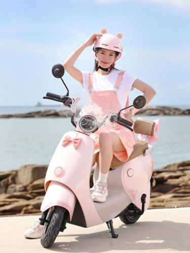 十大轻骑电动车品牌排行榜(轻骑雷舰电动车多少钱)