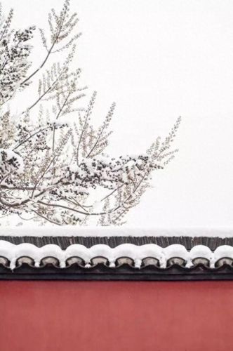 中国家规十大排行榜(家规十大经典)