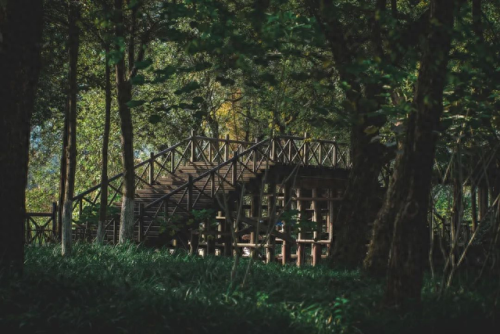 富阳避暑酒店排名前十(富阳著名酒店排行榜)插图68