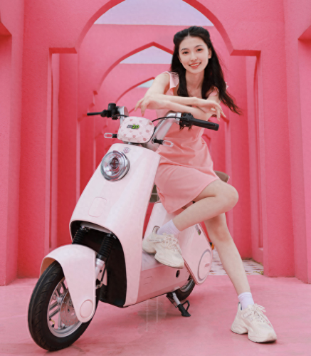 十大轻骑电动车品牌排行榜(轻骑雷舰电动车多少钱)插图1 十大轻骑电动车品牌排行榜(轻骑雷舰电动车多少钱)插图1