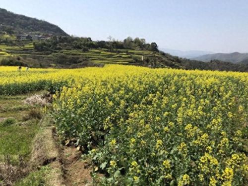 宁波游玩景区排名前十(宁波笔架山风景区)插图61 宁波游玩景区排名前十(宁波笔架山风景区)插图61